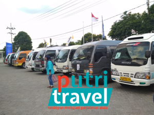 sewa-mobil-banyuwangi-pln-surabaya01