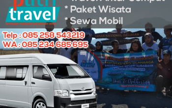 Bwi Travel Banyuwangi