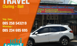 Travel Cluring Ke Bali Murah