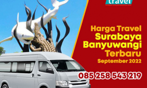 Harga-Travel-Surabaya-Banyuwangi-PP-Terbaru-September-2022