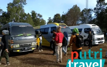 Sewa Mobil Banyuwangi Lepas Kunci 2025: Tips Memilih, Harga, dan Keunggulannya