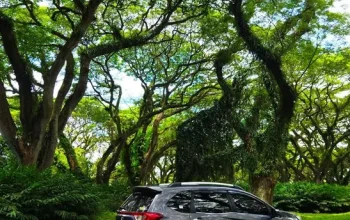 Rental Mobil Alphard Untuk Wedding, Ciptakan Momen Mewah di Malang Bersama Keluarga dan Kerabat