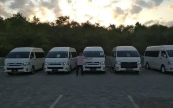 Rental Mobil Ayla, Pilihan Modern dan Efisien untuk Mobilitas di Malang